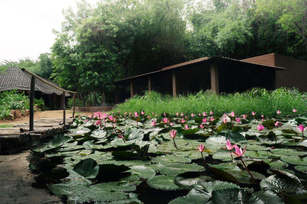 Hampi'S Whiskers Resort 외부 사진
